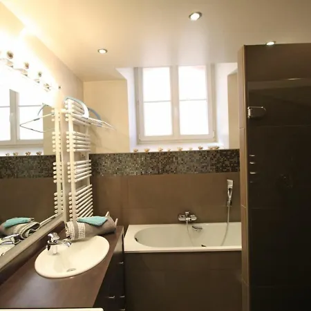 Spacieux Au Coeur De Saint-die-des-vosges, Proche Gare Et Commerces, Ideal Pour Familles - Fr-1-589-376 *